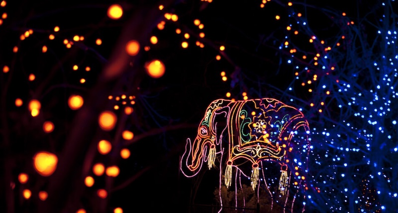 20111228_zoolights_3342_CB-952x5101.jpg 20111228_zoolights_3342_CB-952x5101.jpg