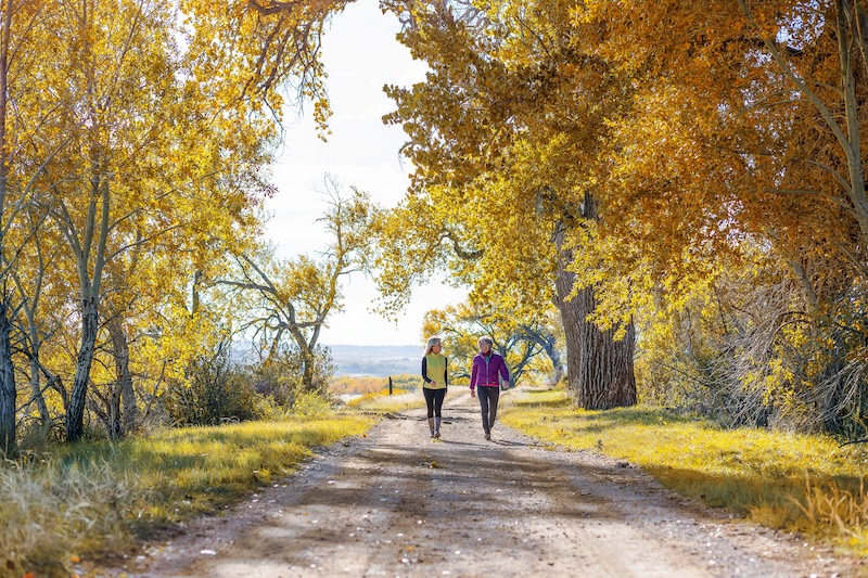 Solstice_Lifestyle_Friends_Walking.jpg