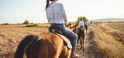 Woman_Horseback_Riding_Field_GettyImages_1209078234.jpg