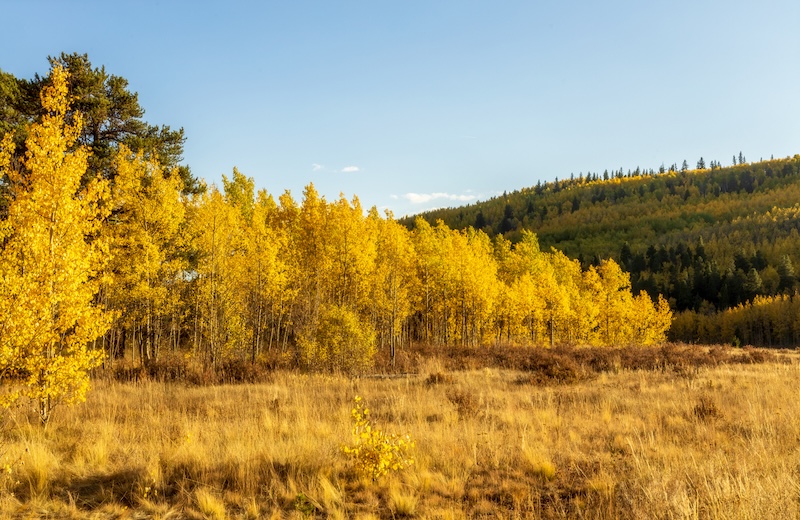 iStock-1344975312.jpg