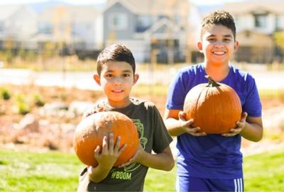 oct-191.jpg oct-191.jpg