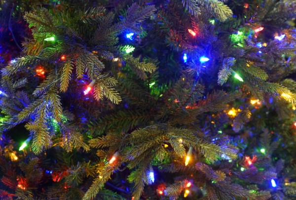 Holiday Tree Lighting