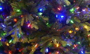 Holiday Tree Lighting