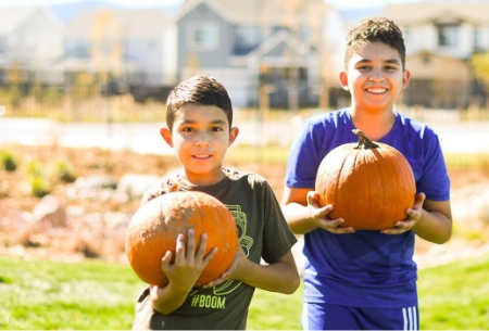 Pumpkin decorating