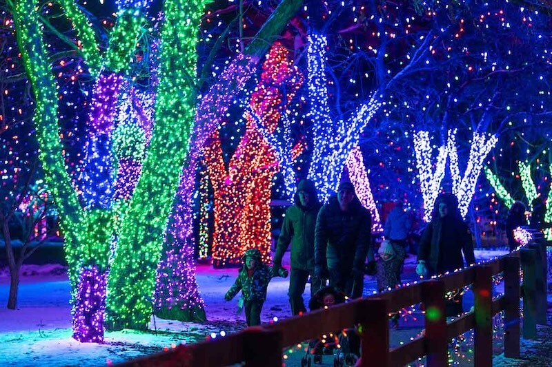 20231126-trail-of-lights-gallery31.jpg