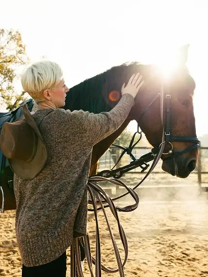 Person gently petting a horse under warm sunlight.
