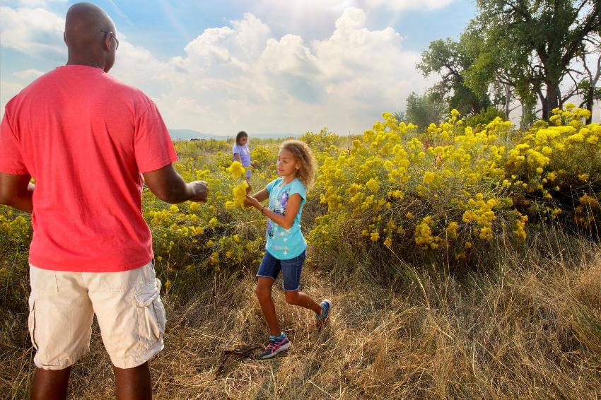 Family enjoying a walk through wildflower field.