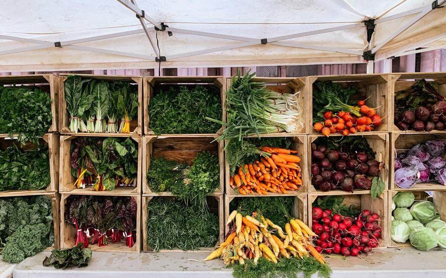 Summer Morning Date Ideas near Littleton, Colorado