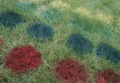 Backyard Games Your Party Guests Will Love