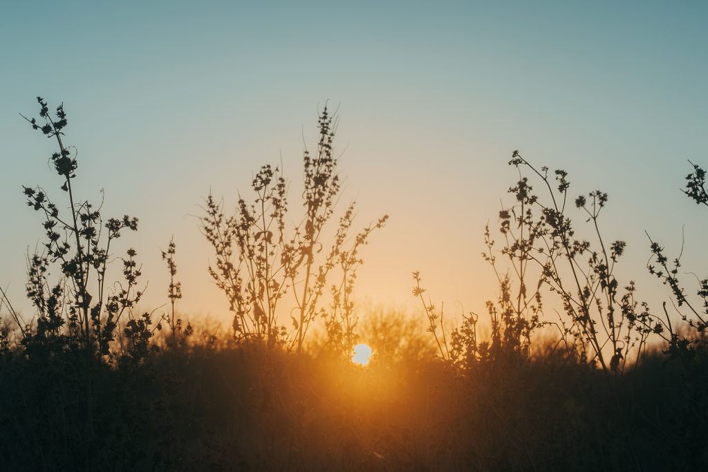 Nature