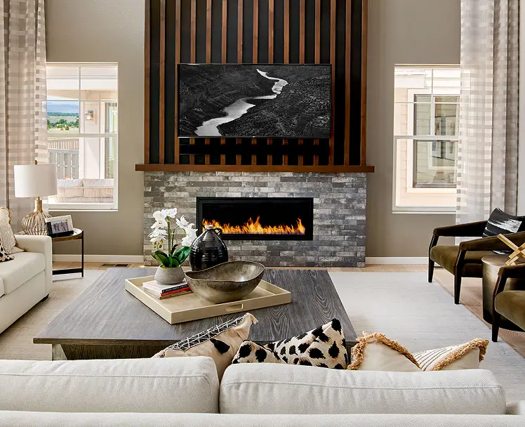 Living room with fireplace