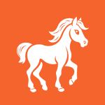 Horse/Pony Rides 