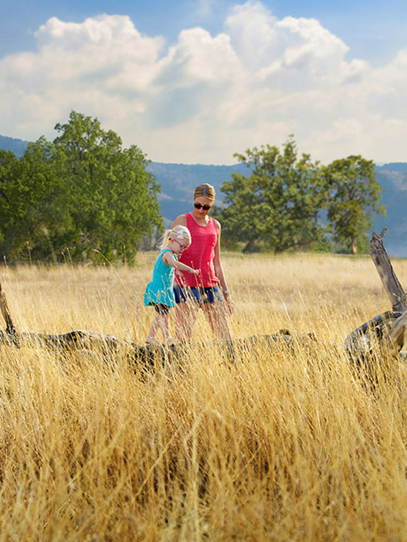 A family walking