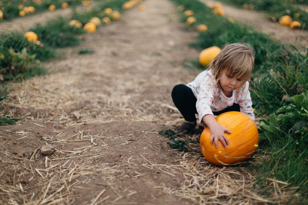 Fall Porch Decor Ideas for Your New Home at Solstice™