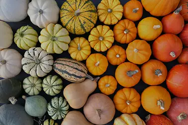 Pumpkins